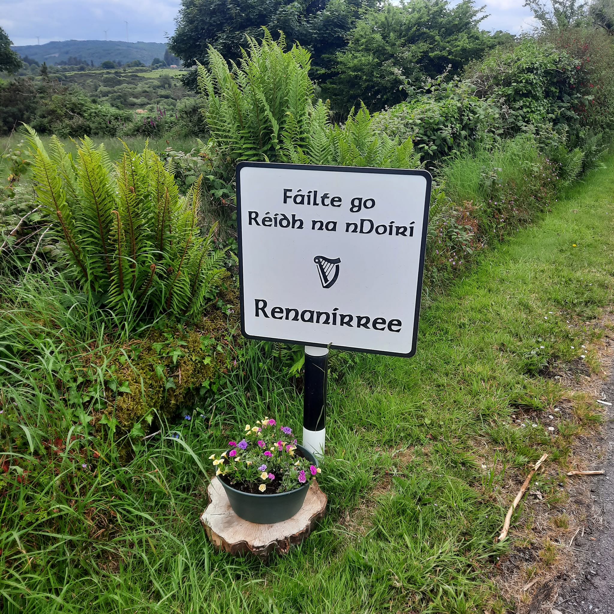 Comhrá Gaoluinne le Máire Uí Laoire